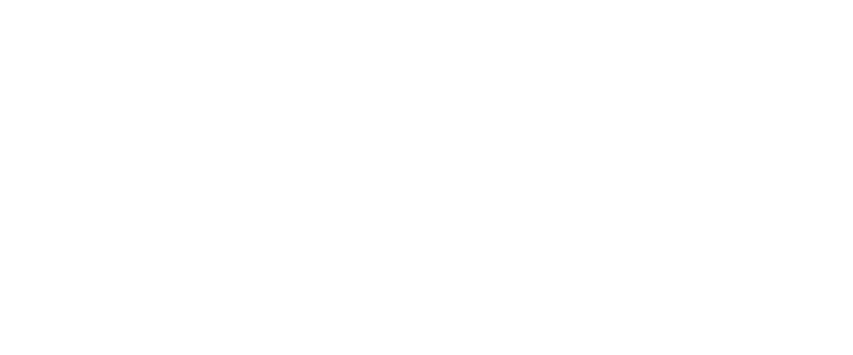 TORO